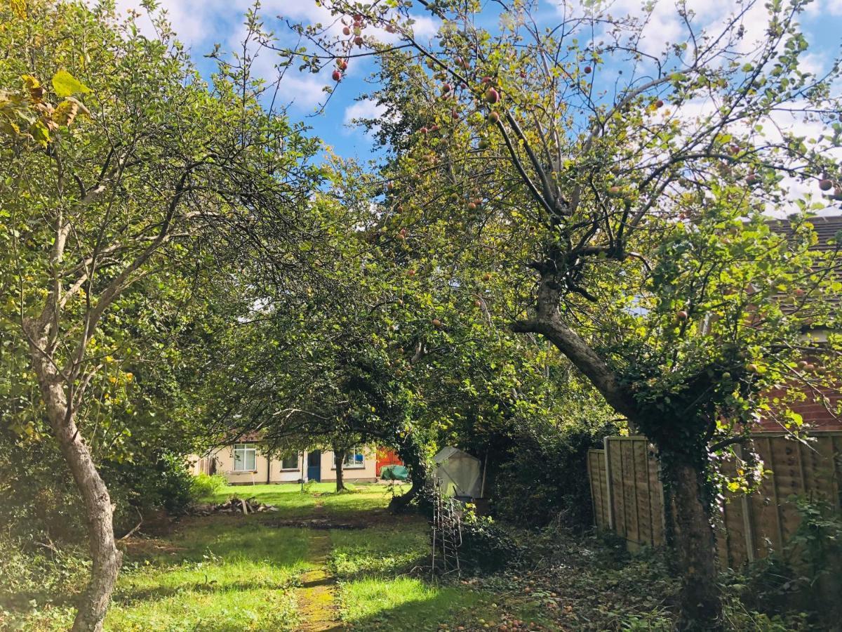 شقة Amazing Quiet Garden House Near London Luton Airport المظهر الخارجي الصورة